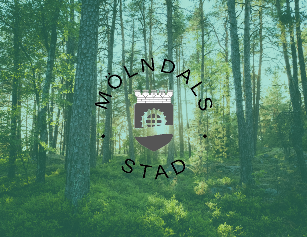 Vård och omsorgsförvaltningen på Mölndals stad utreder och genomför beslut på vård- och omsorgsnämndens uppdrag…